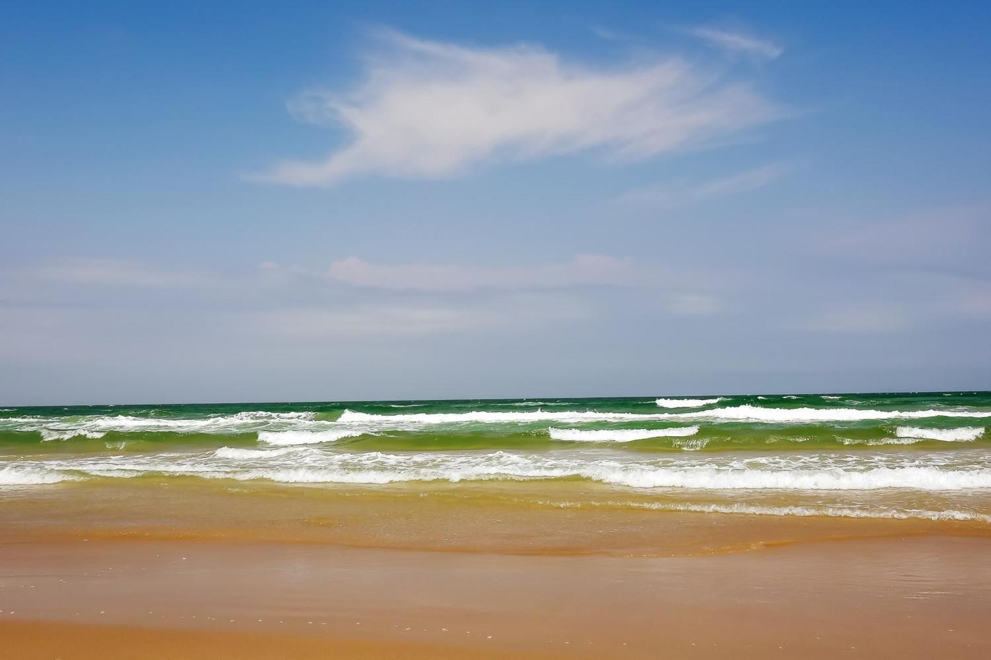 Surfside Condos South Padre Island Pokoj fotografie